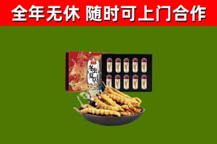 古市烟酒回收冬虫夏草礼盒.jpg